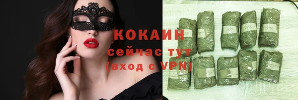 гашик Каменногорск