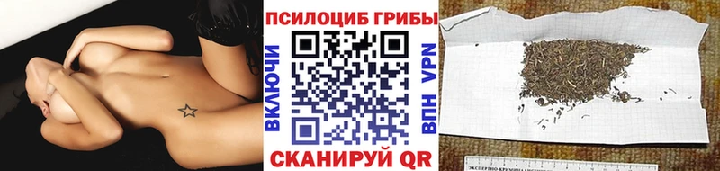 Купить где  Сясьстрой  Галлюциногенные грибы Magic Shrooms 
